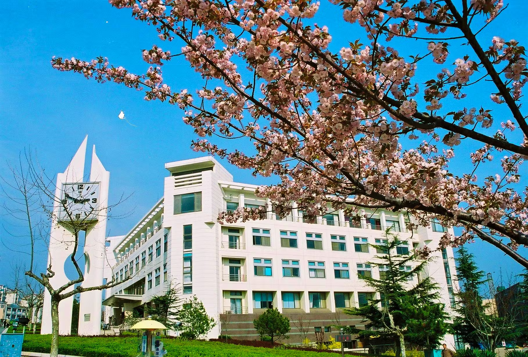 Qingdao University — Chinese Language Program